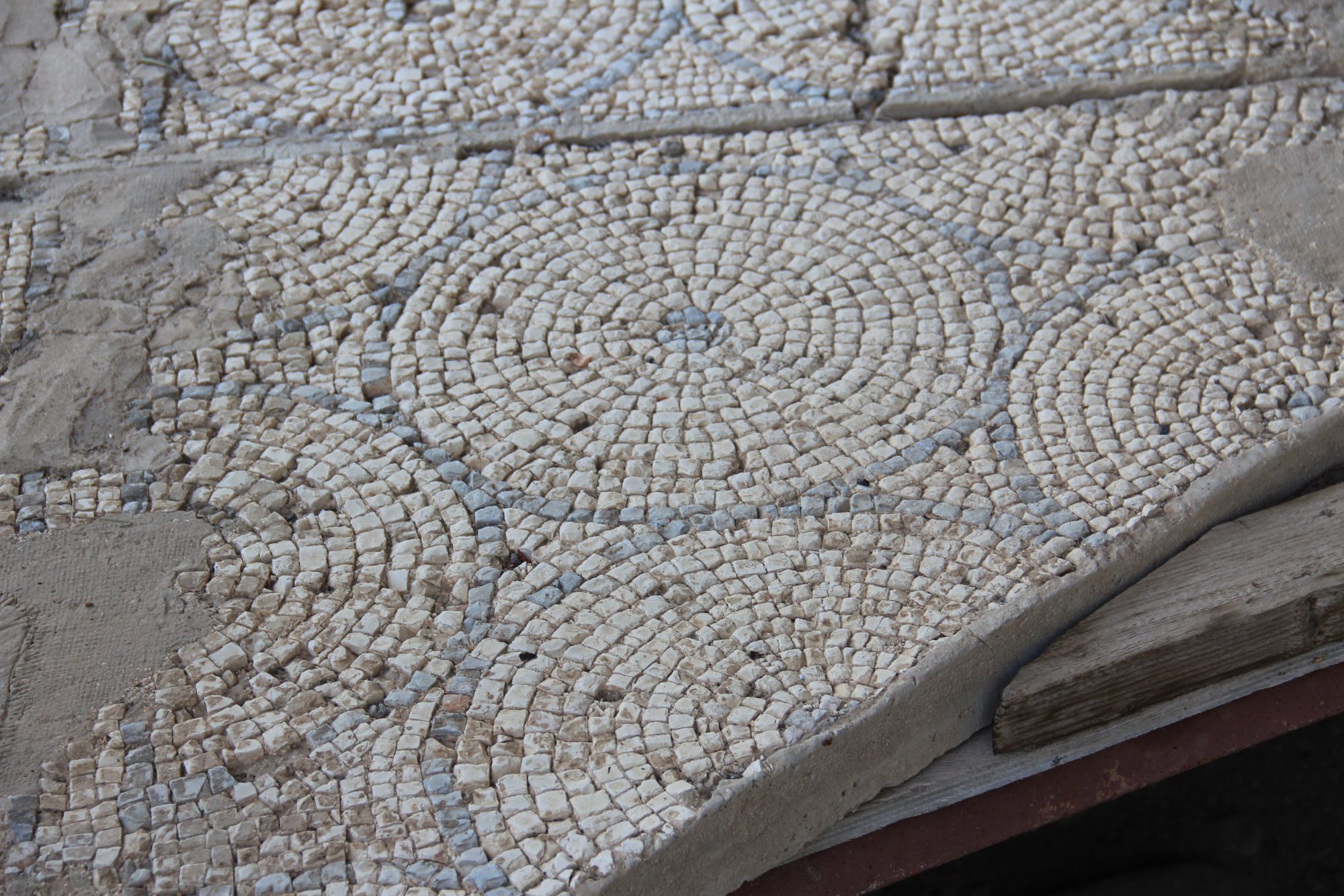 Capharnaum 47
